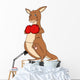 Kangaroo boxer, boxing, boxing gloves, Australia Wall Decal