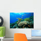 Coral reef Wall Mural