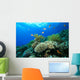 Coral reef Wall Mural