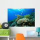 Coral reef Wall Mural
