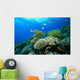 Coral reef Wall Mural