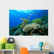 Coral reef Wall Mural
