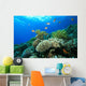 Coral reef Wall Mural
