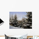 Winter Wall Decal Design 4