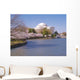 Jefferson Memorial during Cherry Wall Decal