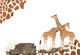 Giraffe Wall Decal