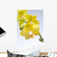 Yellow Orchid Wall Mural
