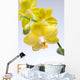 Yellow Orchid Wall Mural