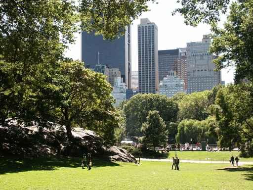 Central Park 1 Wall Decal