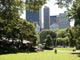 Central Park 1 Wall Decal