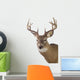 Large Whitetail Buck White Wall Decal Design 3