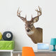 Large Whitetail Buck White Wall Decal Design 3