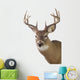 Large Whitetail Buck White Wall Decal Design 3