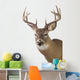Large Whitetail Buck White Wall Decal Design 3