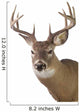 Large Whitetail Buck White Wall Decal Design 3