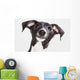 Italian Greyhound Puppy Wall Mural