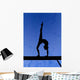 Gymnastic Silhouette Wall Mural