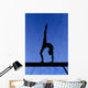 Gymnastic Silhouette Wall Mural