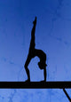 Gymnastic Silhouette Wall Mural