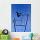 Gymnastic Silhouette Wall Mural