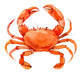 Watercolor Crab Wall Decal