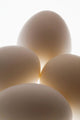 Close Up Of A Group Of Eggs Wall Mural
