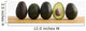 A Row Of Avocados Standing Upright On A Wooden Board With One Cut Wall Mural