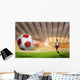 Soccer Wall Mural