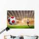 Soccer Wall Mural