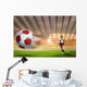 Soccer Wall Mural