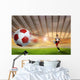 Soccer Wall Mural