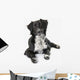 Border Collie White Wall Decal