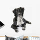 Border Collie White Wall Decal