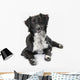Border Collie White Wall Decal