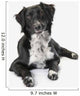 Border Collie White Wall Decal