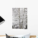Snow Covered Trees Wall Mural