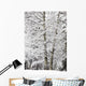 Snow Covered Trees Wall Mural