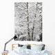 Snow Covered Trees Wall Mural