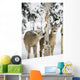 Two Young Deer In A Snow Covered Forest Chewing On Tree Bark Wall Mural