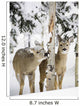 Two Young Deer In A Snow Covered Forest Chewing On Tree Bark Wall Mural