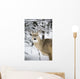 Close Up Of A Young Deer In A Snow Covered Forest Wall Mural