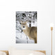 Close Up Of A Young Deer In A Snow Covered Forest Wall Mural