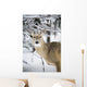 Close Up Of A Young Deer In A Snow Covered Forest Wall Mural