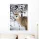 Close Up Of A Young Deer In A Snow Covered Forest Wall Mural