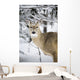Close Up Of A Young Deer In A Snow Covered Forest Wall Mural