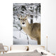 Close Up Of A Young Deer In A Snow Covered Forest Wall Mural