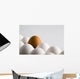 Close Up Of One Brown Shelled Egg Amongst Several White Shelled Eggs Wall Mural