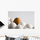 Close Up Of One Brown Shelled Egg Amongst Several White Shelled Eggs Wall Mural