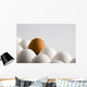 Close Up Of One Brown Shelled Egg Amongst Several White Shelled Eggs Wall Mural