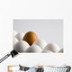 Close Up Of One Brown Shelled Egg Amongst Several White Shelled Eggs Wall Mural